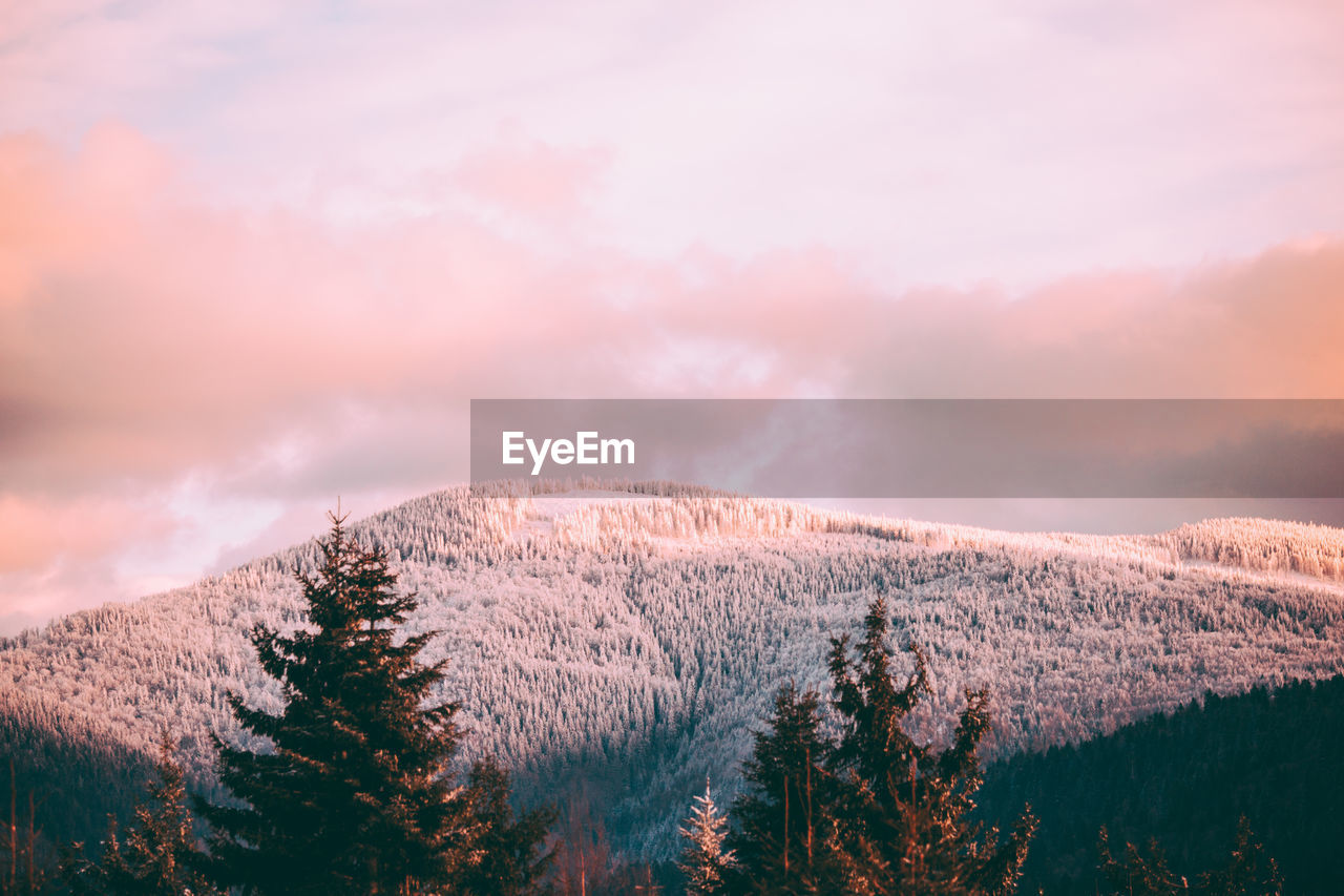 Scenic view of tree mountains against sky