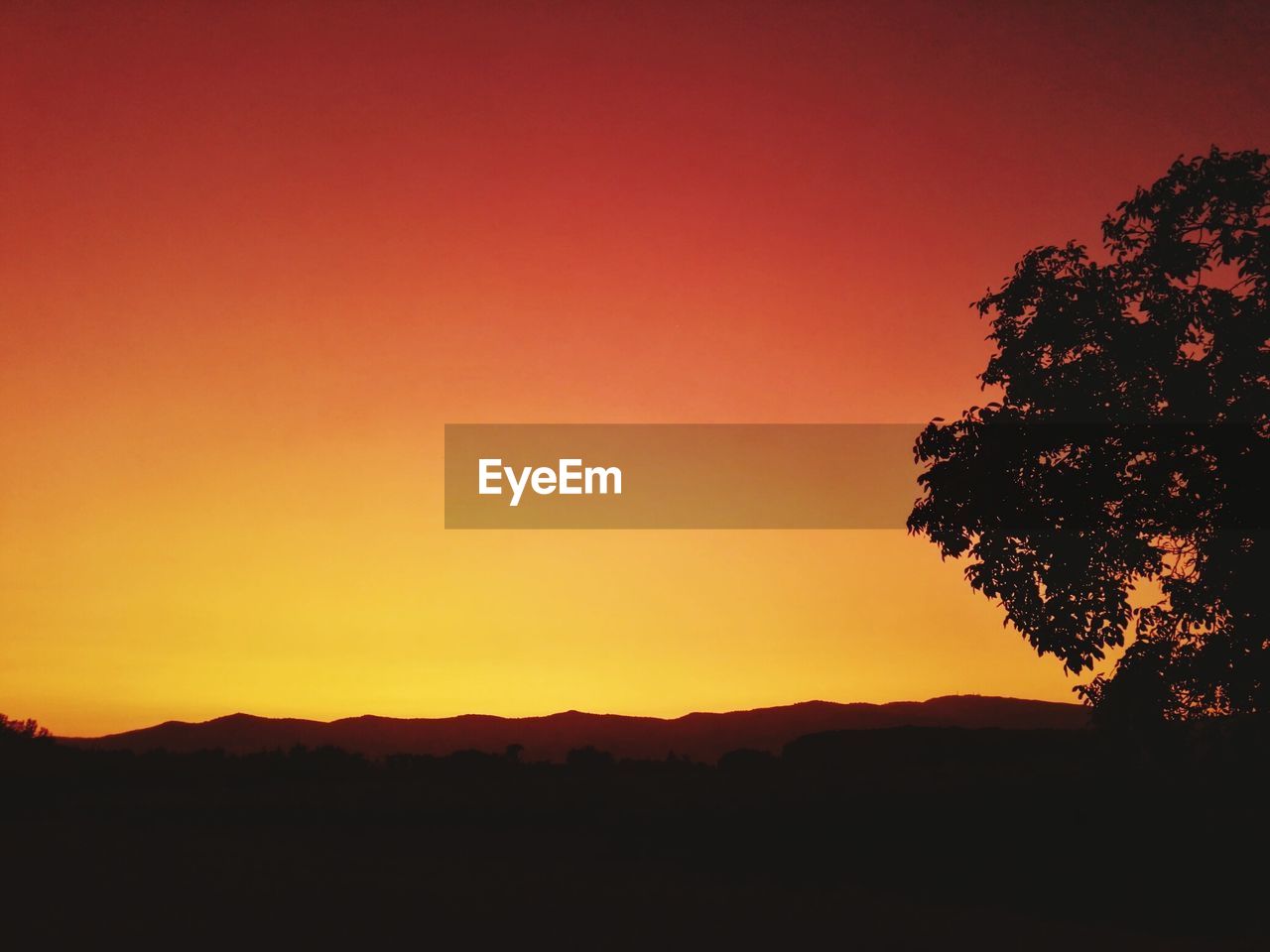 SILHOUETTE TREES ON LANDSCAPE AGAINST ORANGE SKY