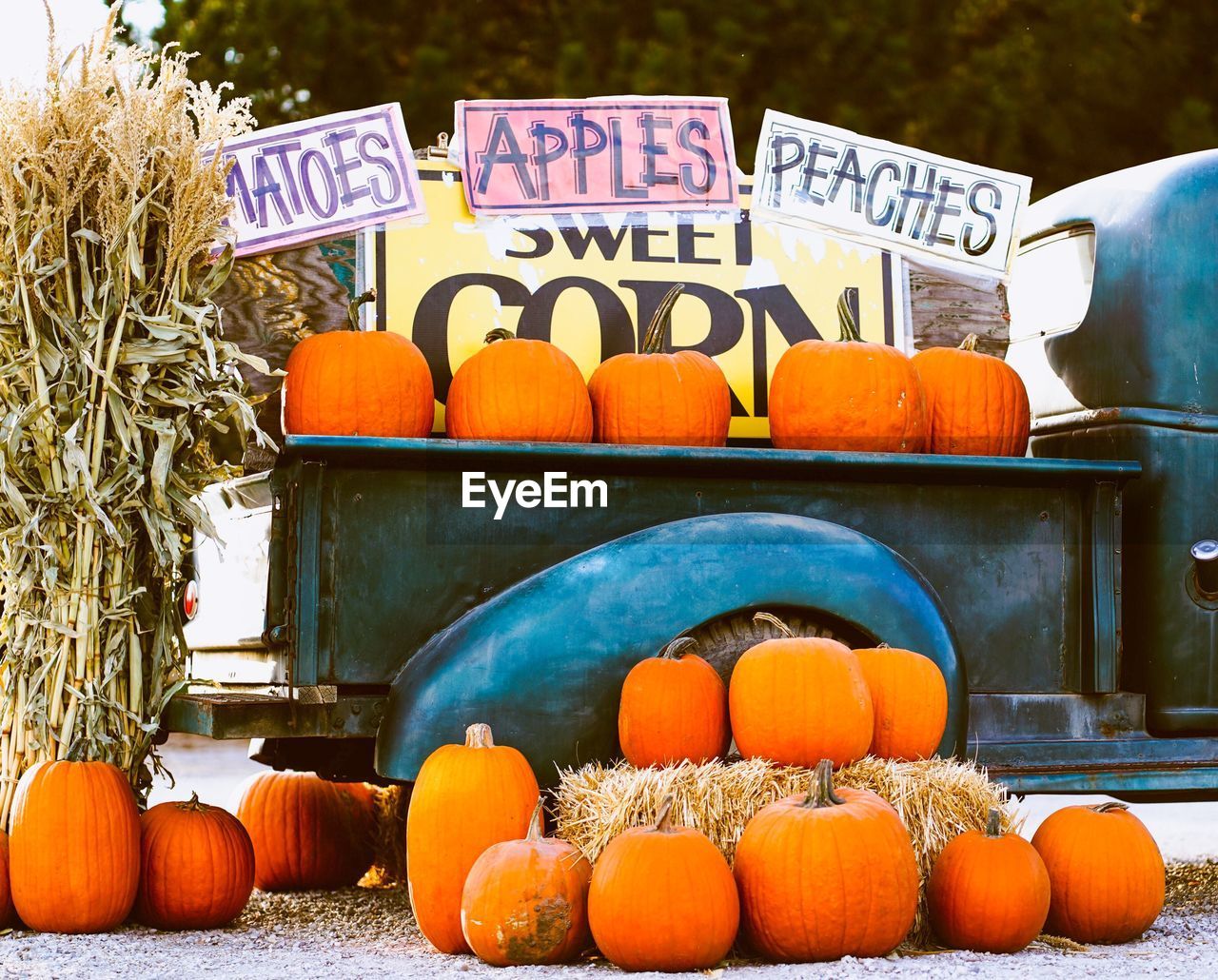 Pumpkins for sale at market stall