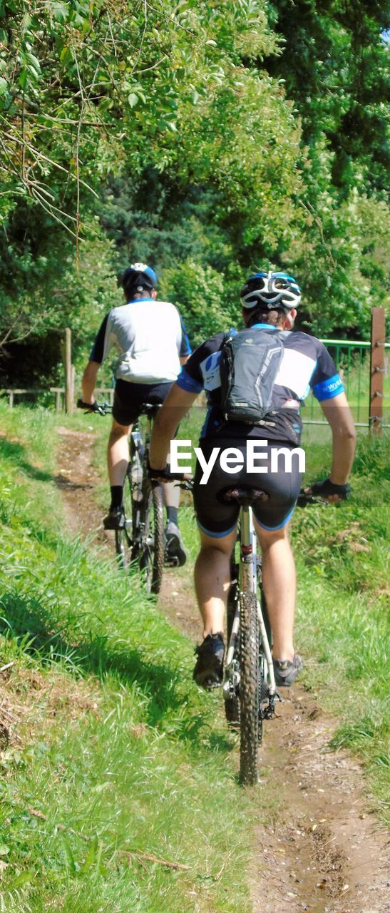 Man with bicycle in forest