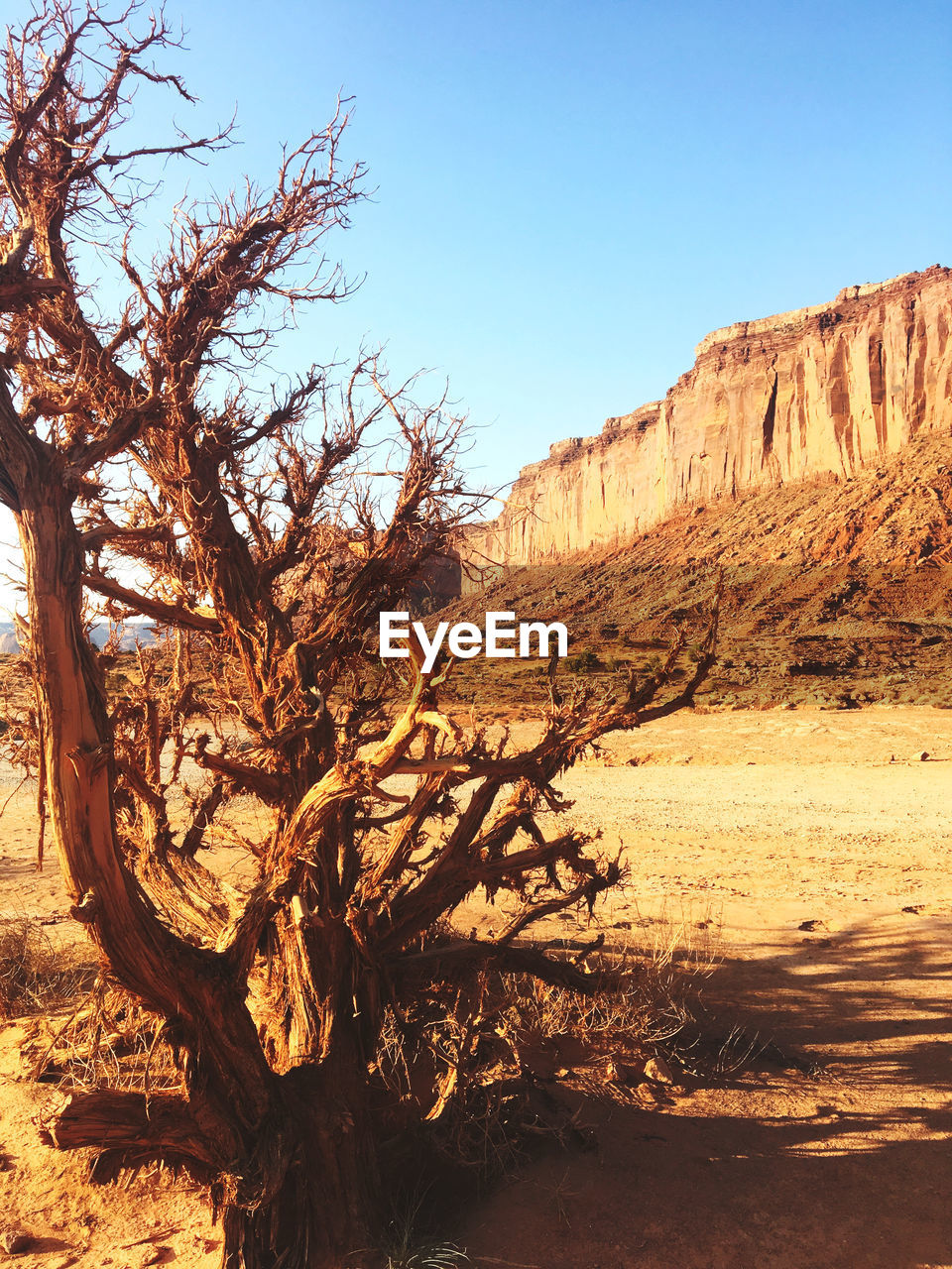 Scenic view of landscape against clear blue sky