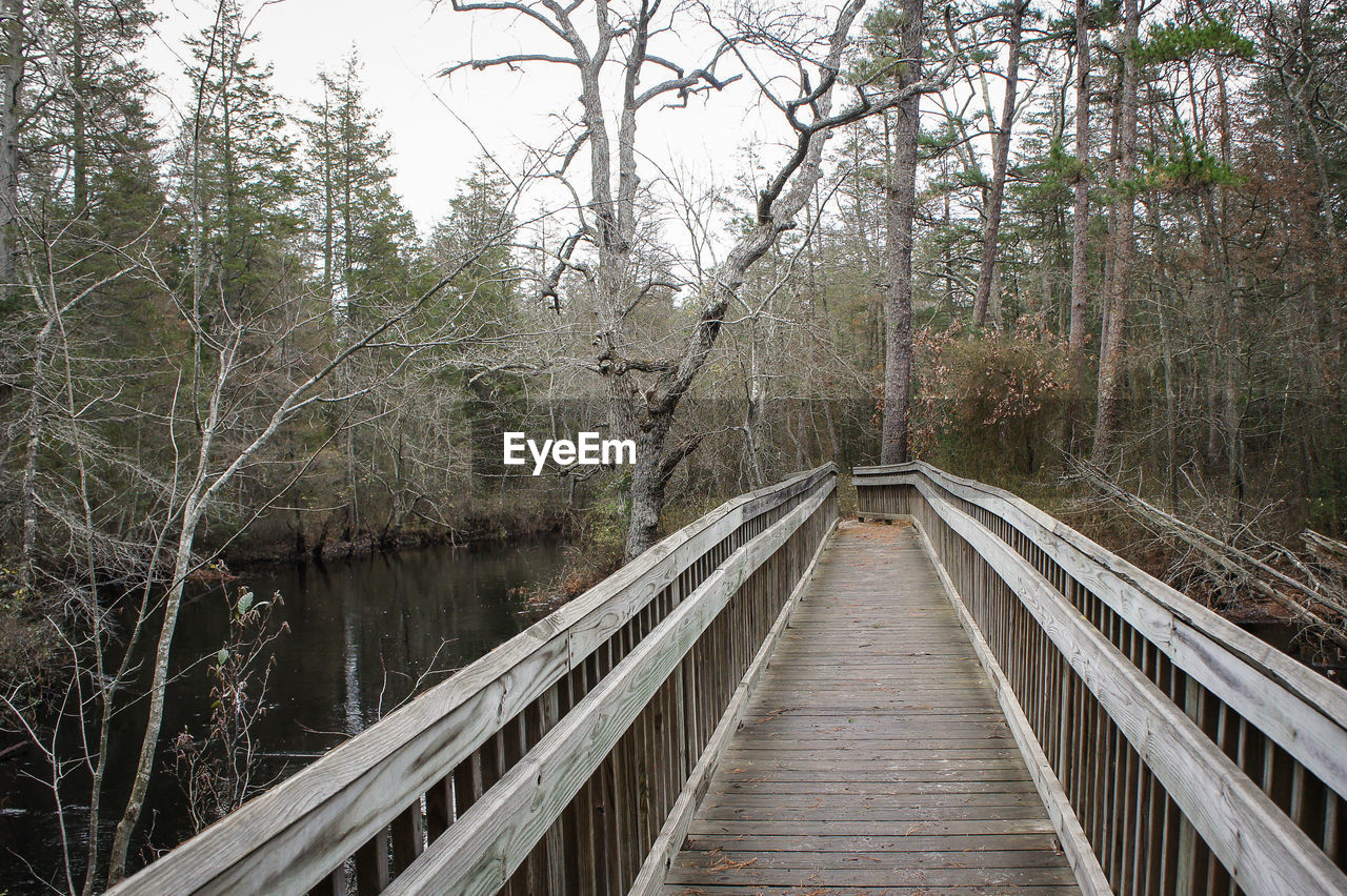 FOOTBRIDGE OVER RIVER WITH TREES IN BACKGROUND