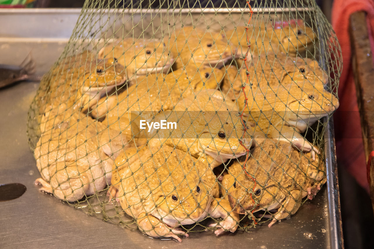 HIGH ANGLE VIEW OF FISH IN MARKET