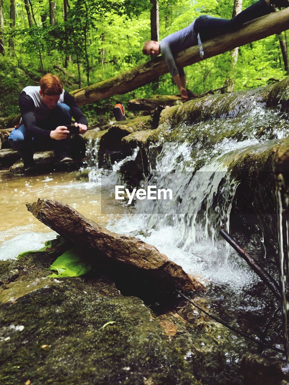 Young man looking at friend photographing while lying on log in forest