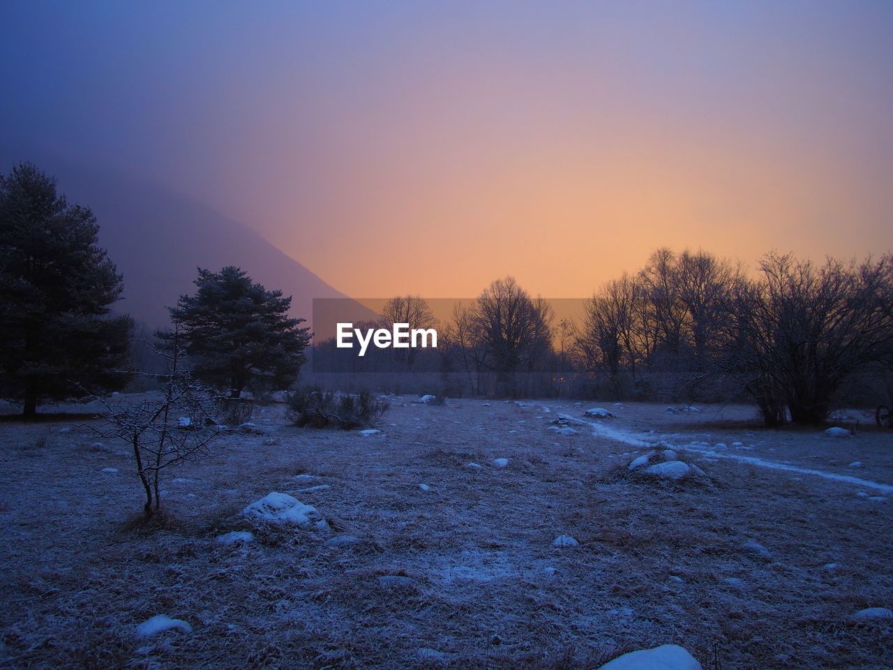 TREES ON SNOW COVERED LANDSCAPE AGAINST SKY AT SUNSET