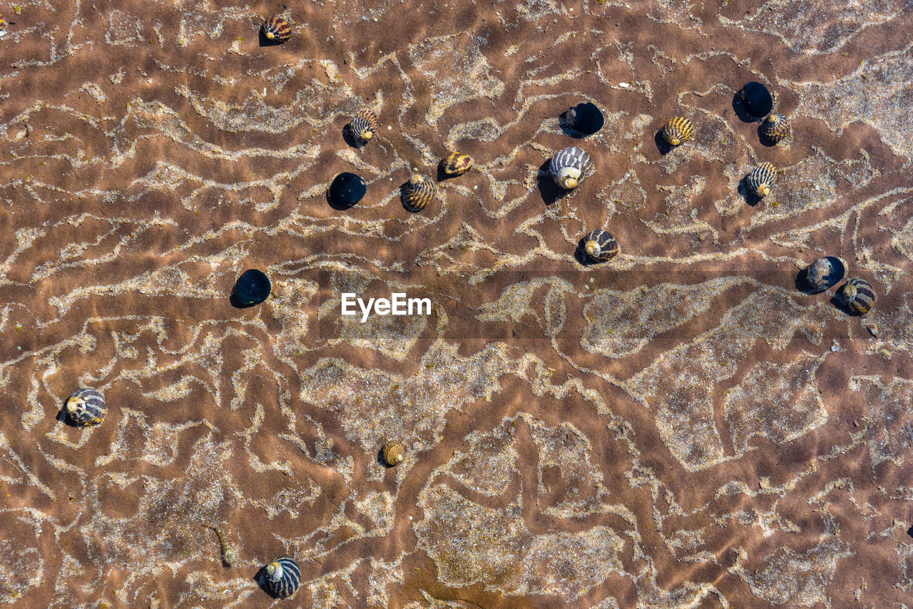 FULL FRAME SHOT OF RIPPLED WATER IN SAND