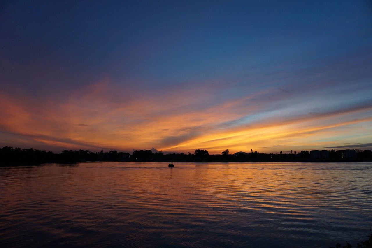 SILHOUETTE OF TREES AT SUNSET