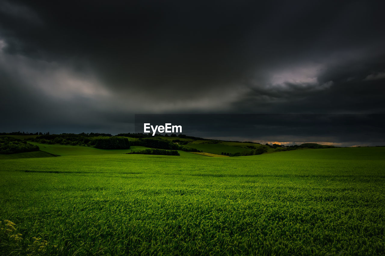 Scenic view of grassy field against cloudy sky