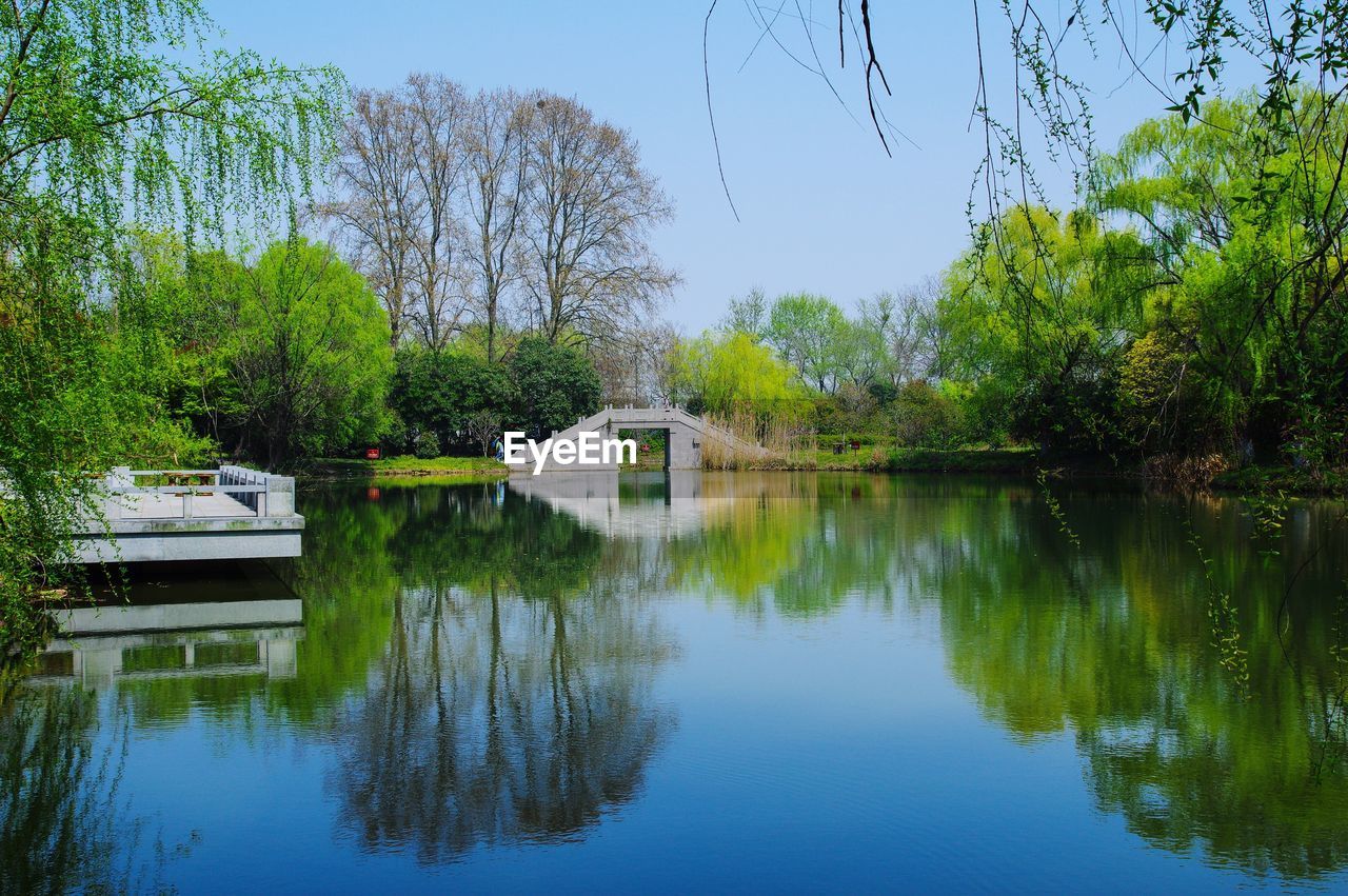 Reflection of trees in lake against clear sky