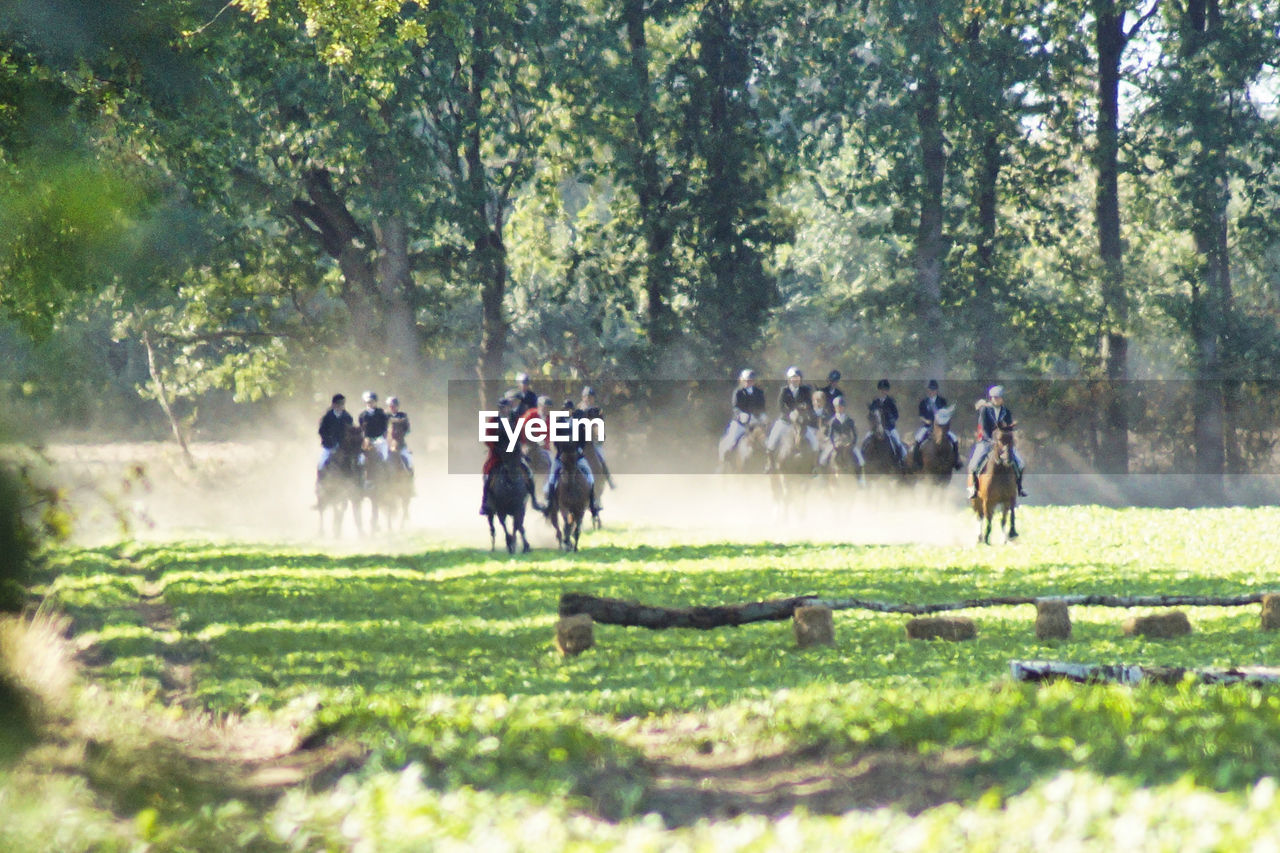 Group of people riding horses on field