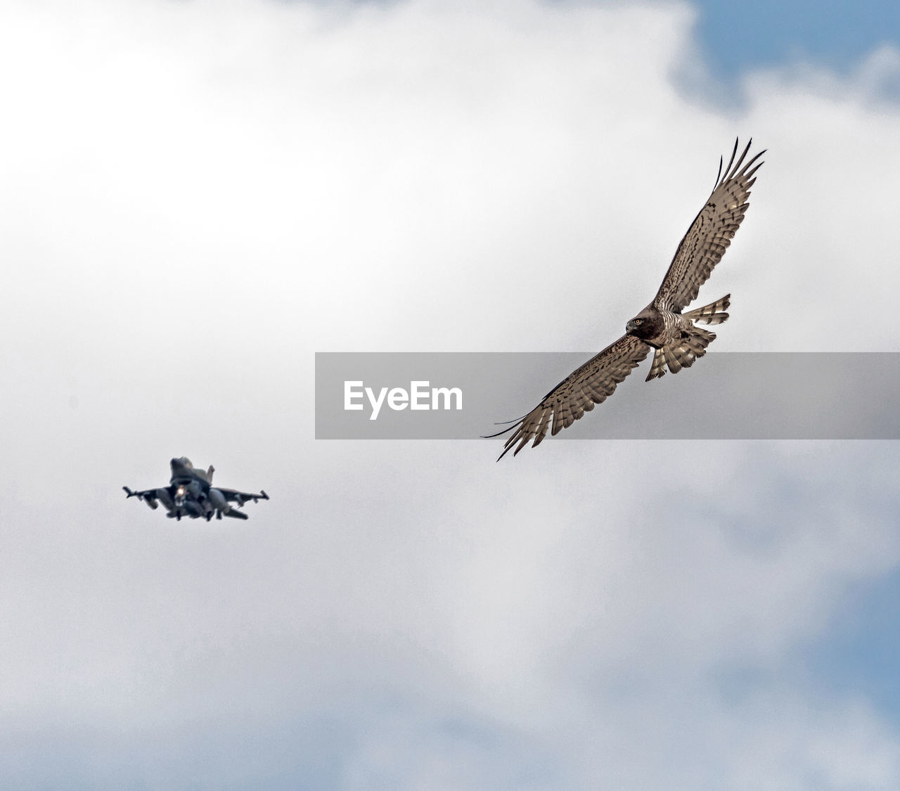 LOW ANGLE VIEW OF AIRPLANE FLYING AGAINST SKY