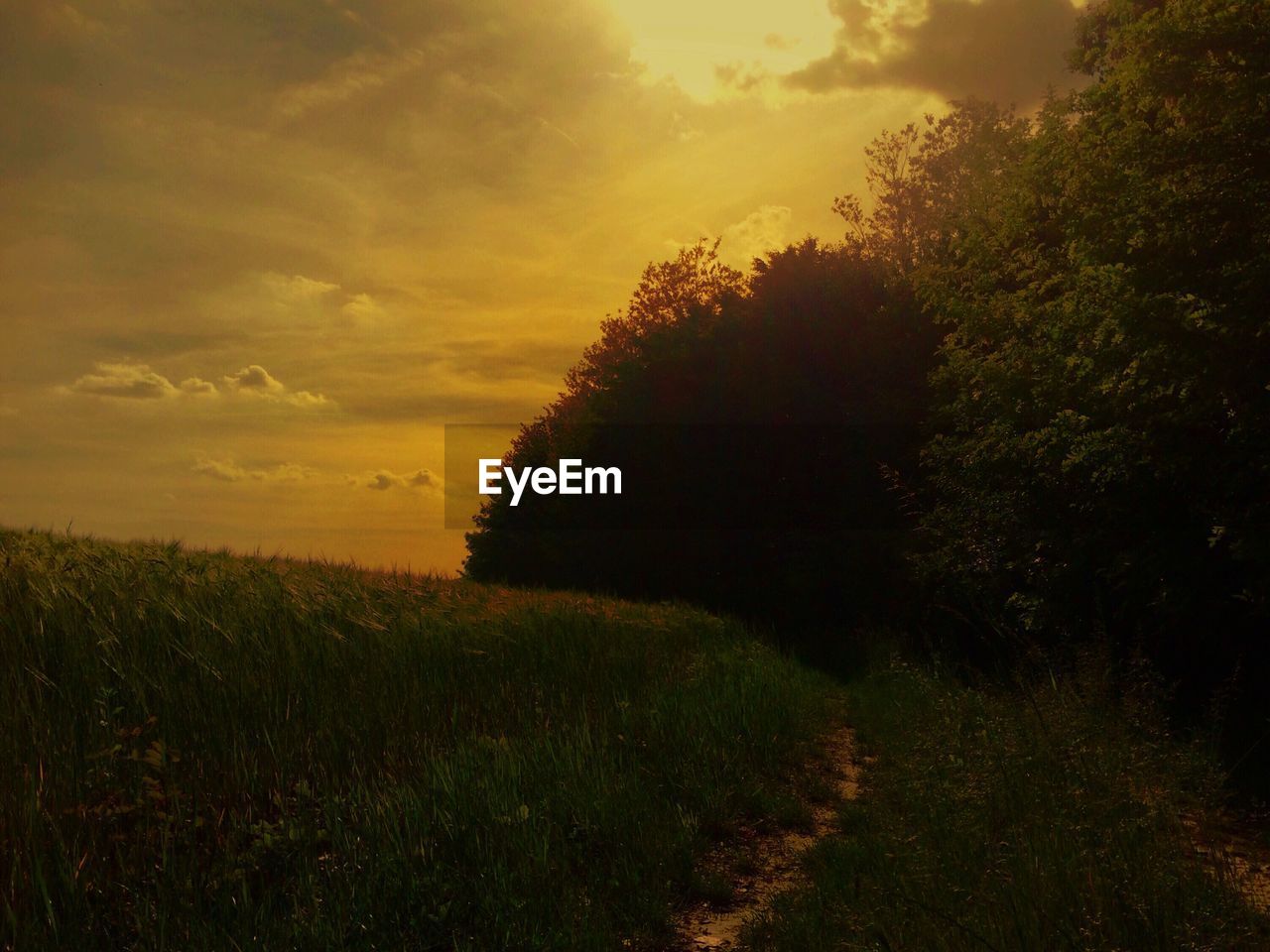 Scenic view of field against cloudy sky