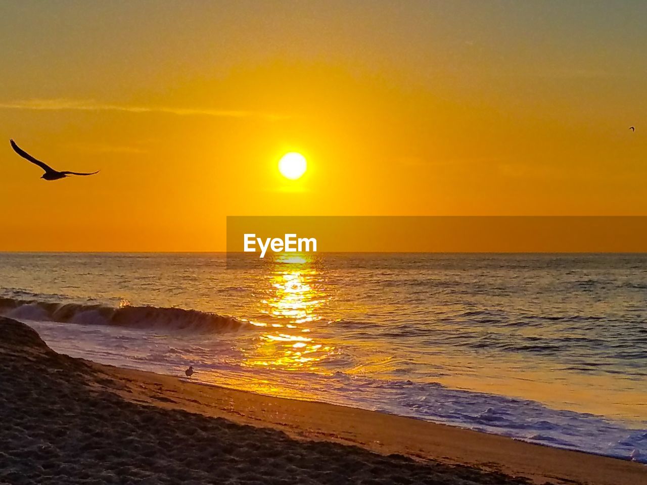 SCENIC VIEW OF SEA DURING SUNSET