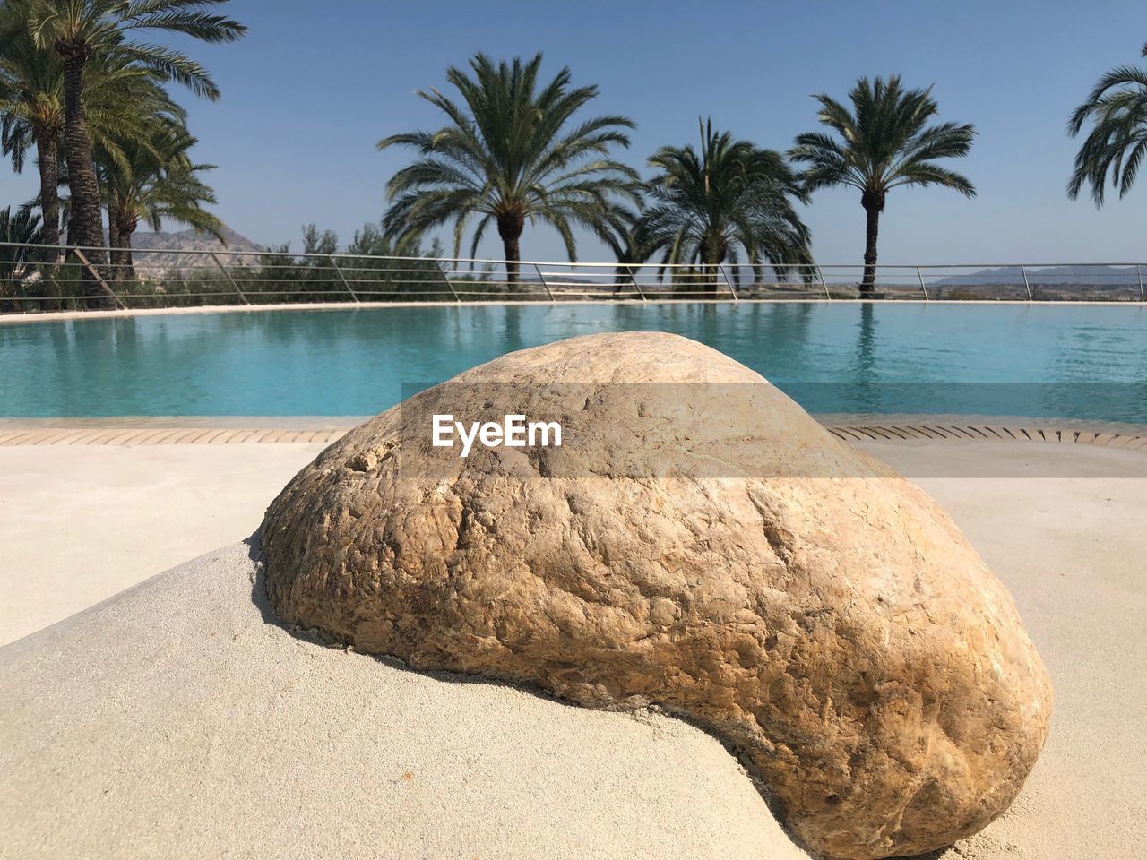 Scenic view of sea by palm trees against sky