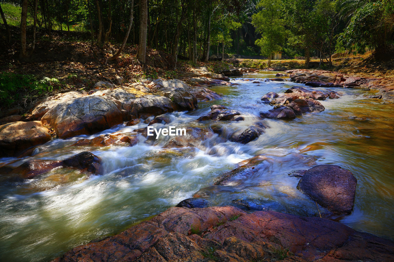 River flowing through rocks in forest