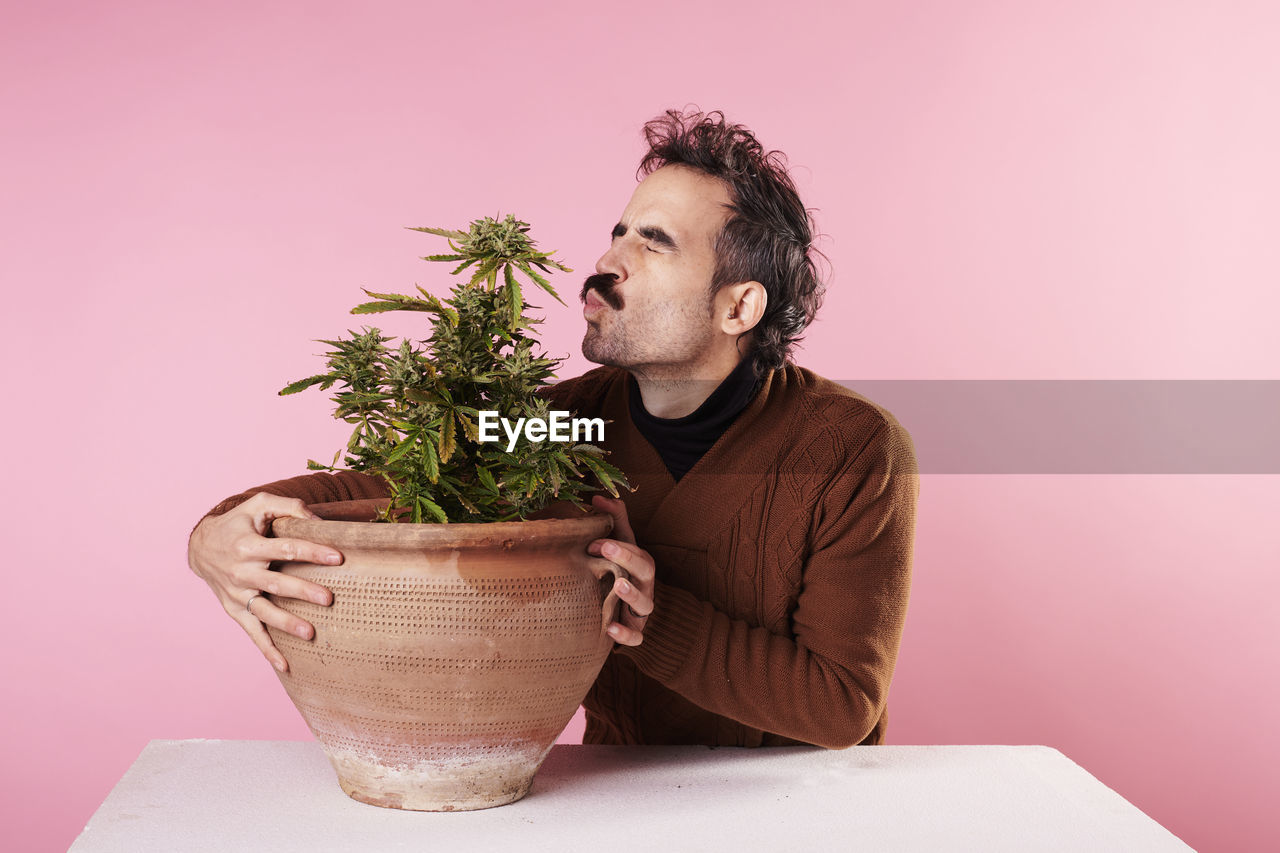 A man smells the flower of a cannabis plant on a pink background