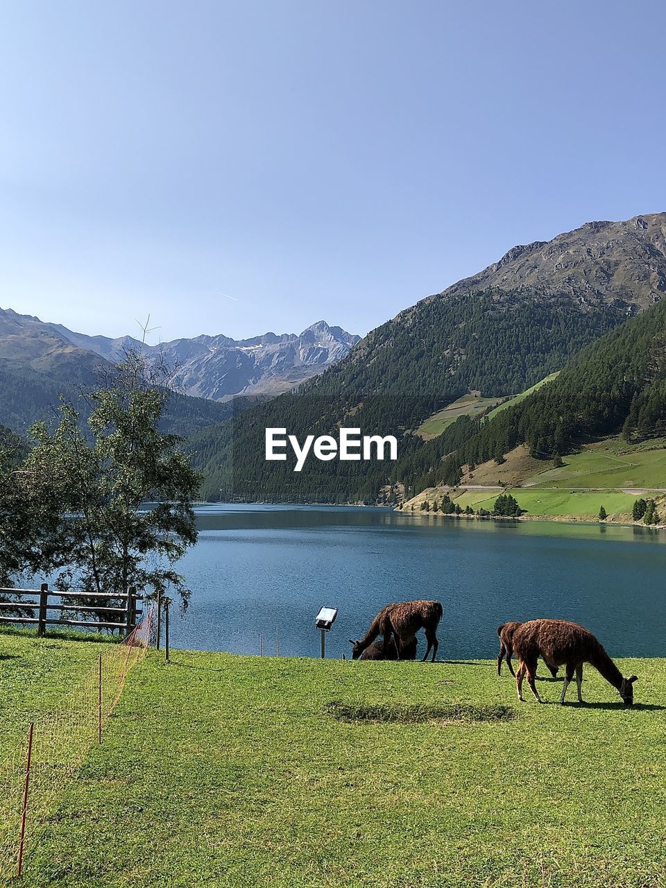 SCENIC VIEW OF LAKE AGAINST MOUNTAINS