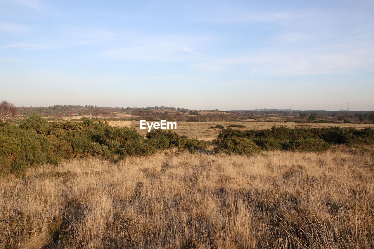 TRANQUIL VIEW OF LANDSCAPE AGAINST SKY