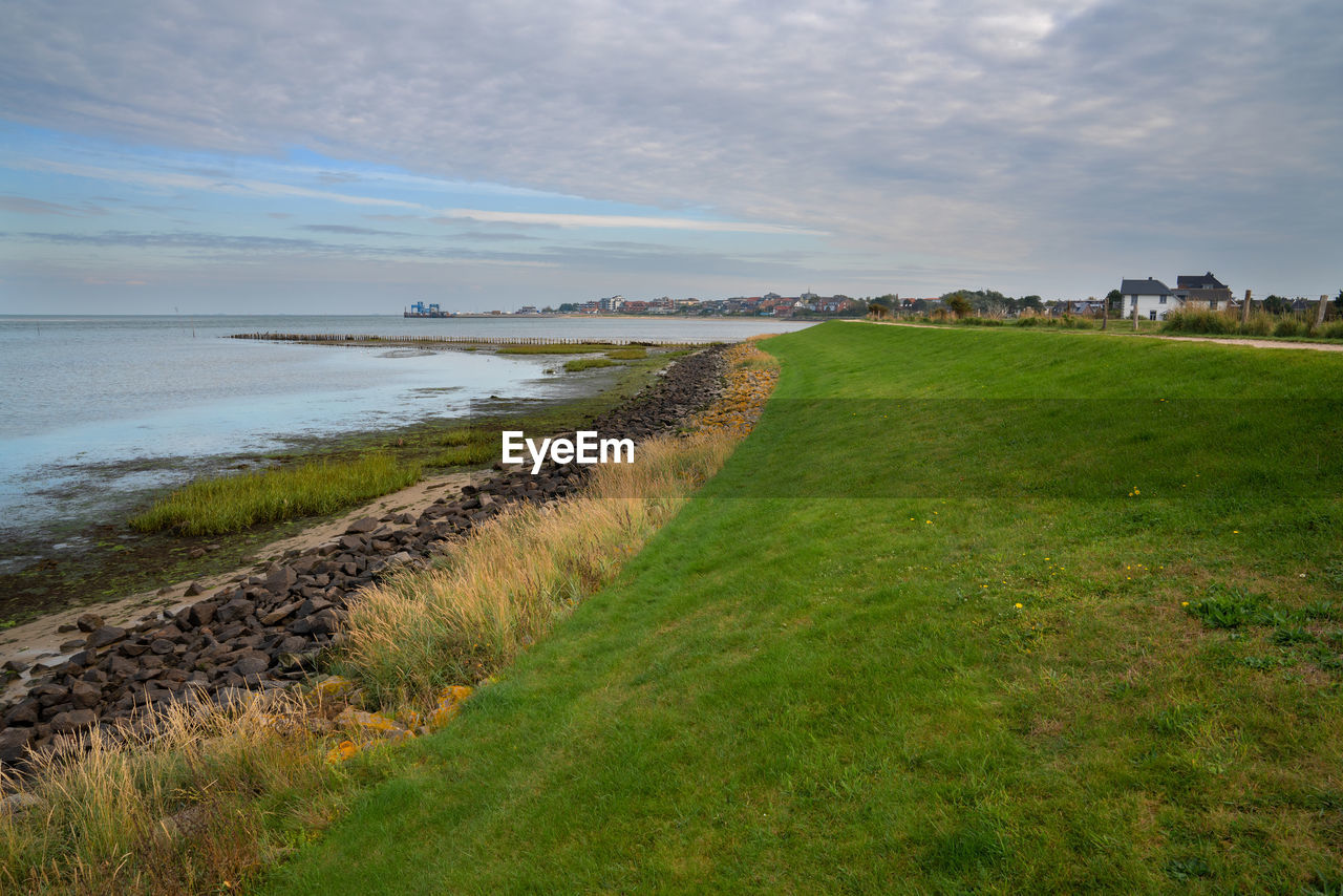 Panoramic image of the coastal landscape of amrum, north sea, germany
