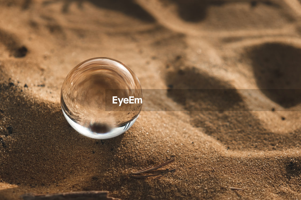 HIGH ANGLE VIEW OF SHELL ON SAND