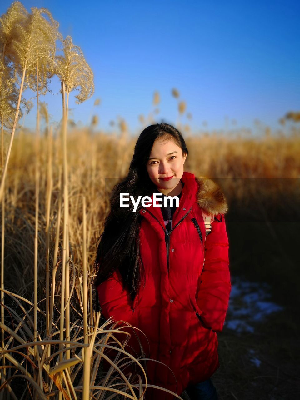 Portrait of young woman standing on field against clear sky