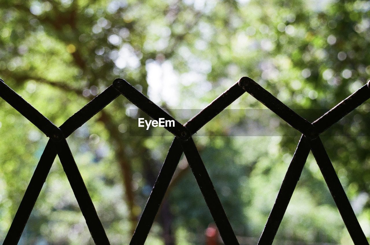 CLOSE-UP OF METAL AGAINST TREES