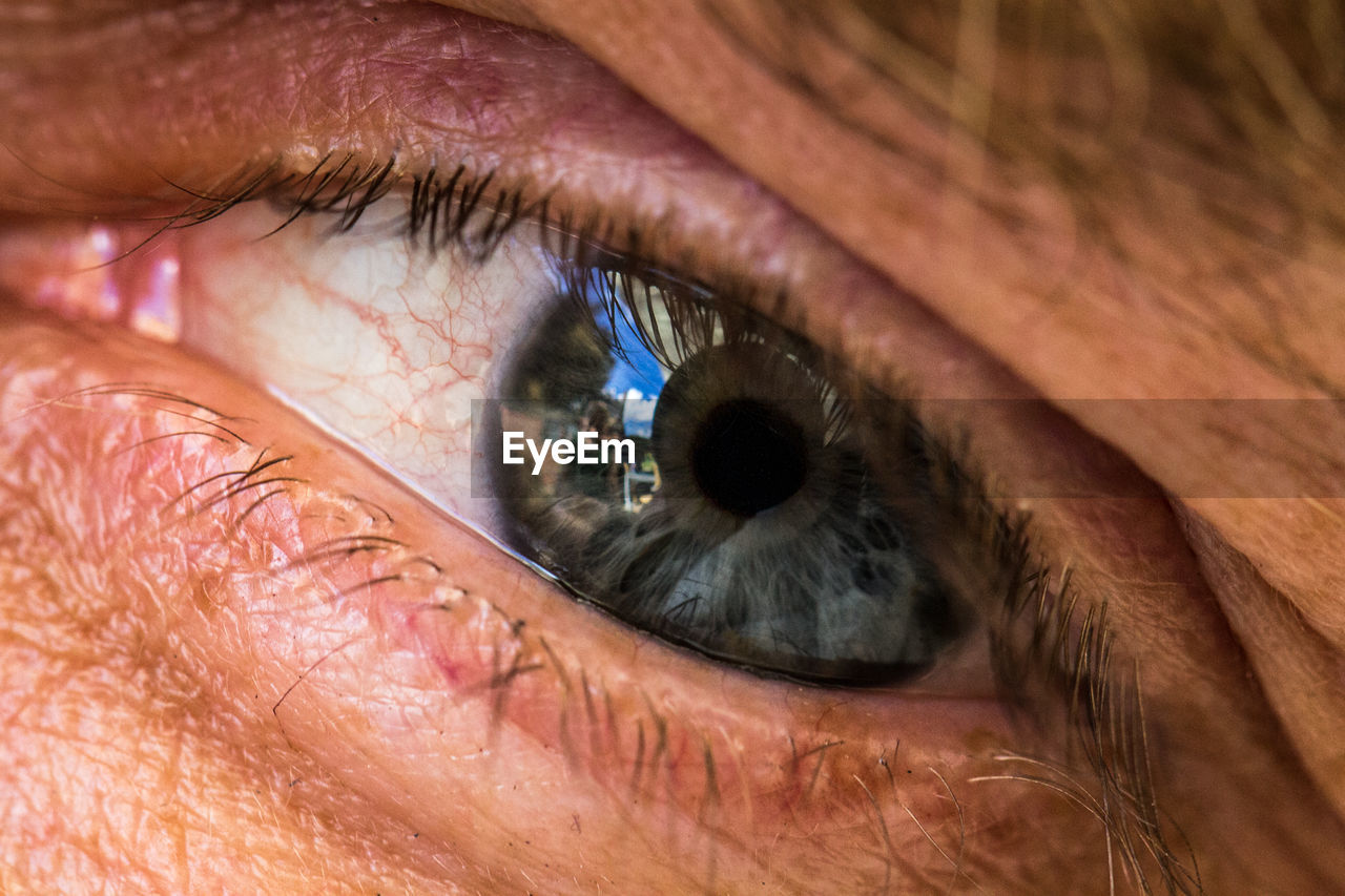 Close-up of gray human eye