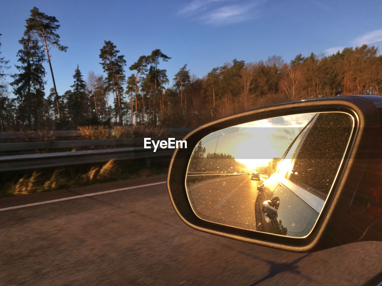 REFLECTION OF TREES ON SIDE-VIEW MIRROR