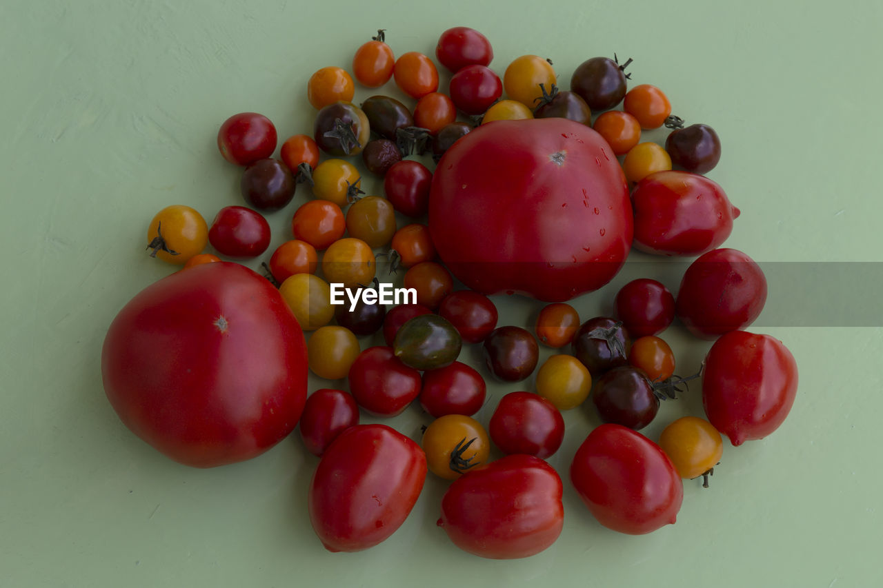 High angle view of different kinds of tomatoes on a green table