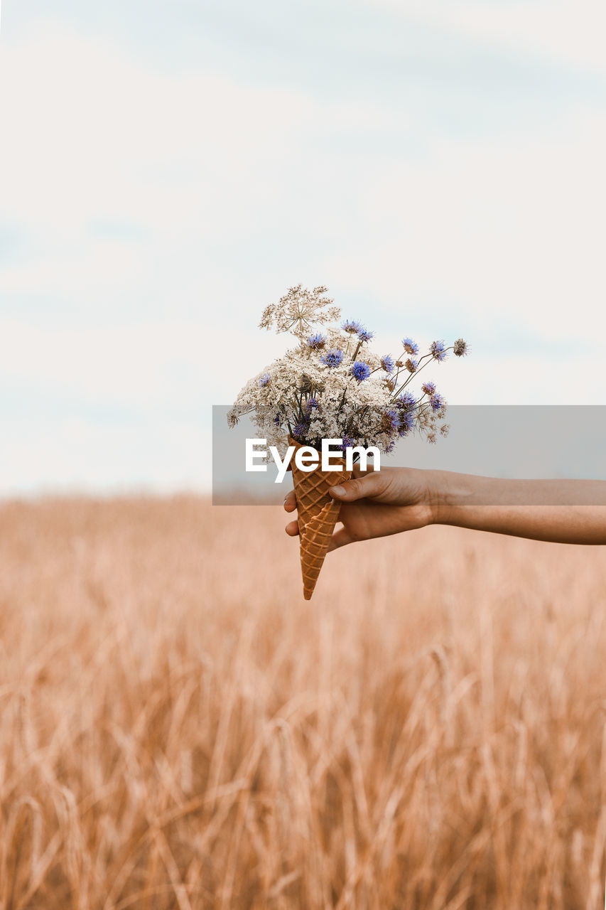 Cropped hand holding flowers in ice cream cone against sky