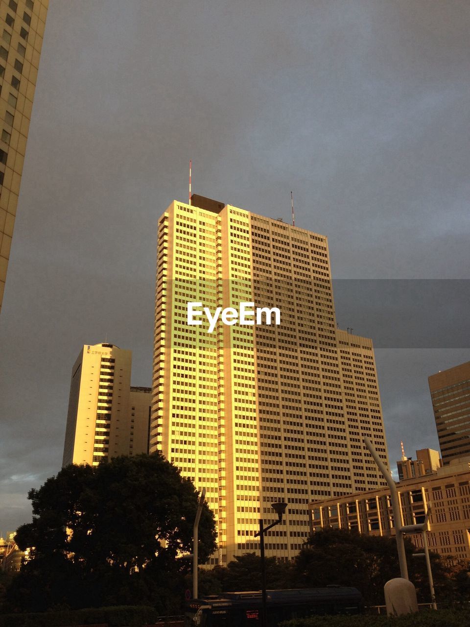 Low angle view of office building in yellow sunlight against grey sky