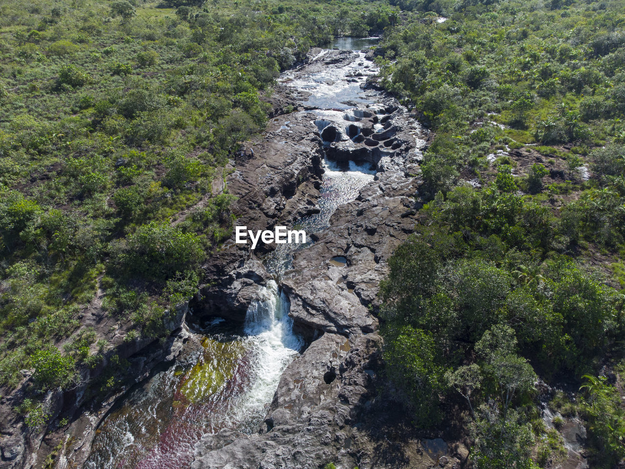 plant, beauty in nature, tree, nature, high angle view, scenics - nature, growth, no people, land, day, green, water, tranquility, non-urban scene, rock, mountain, environment, ridge, water feature, tranquil scene, river, wilderness, forest, ravine, outdoors, trail, walking, aerial photography, geology, landscape, cliff, idyllic, stream, flowing water, terrain, lush foliage, waterfall, foliage, motion