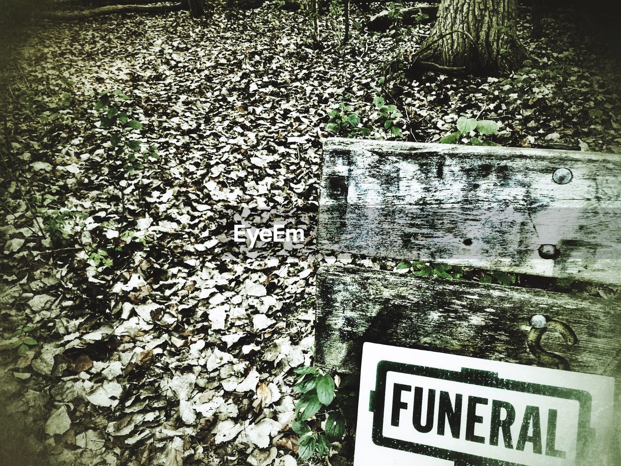 CLOSE-UP OF INFORMATION SIGN AGAINST PLANTS