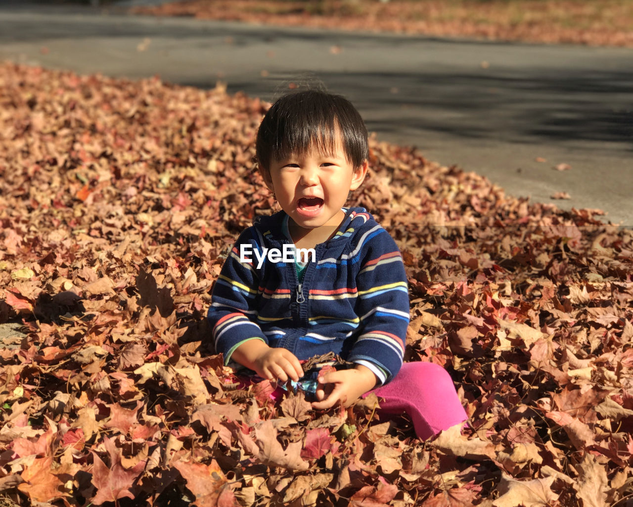 Cute girl sitting in autumn leaves 