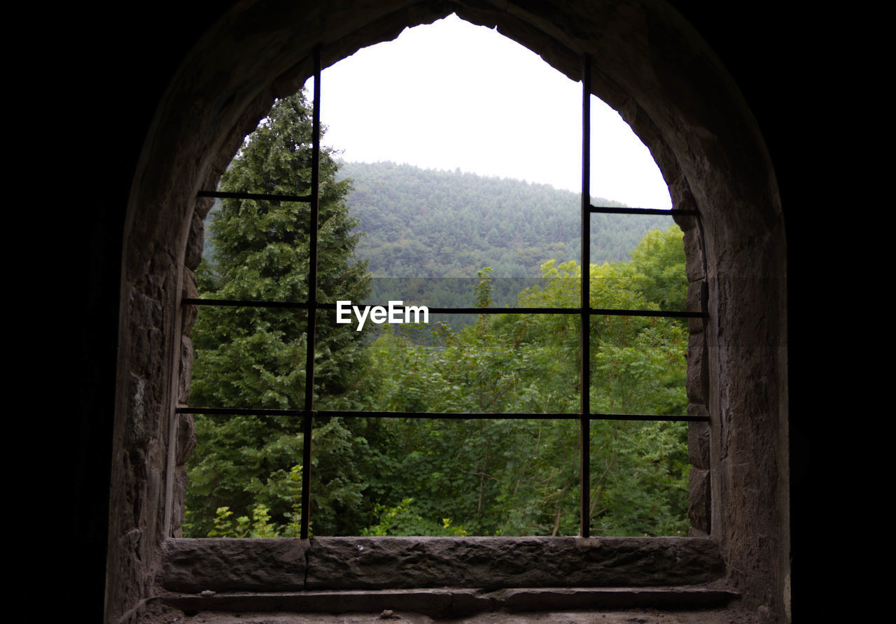 View of forest seen through window