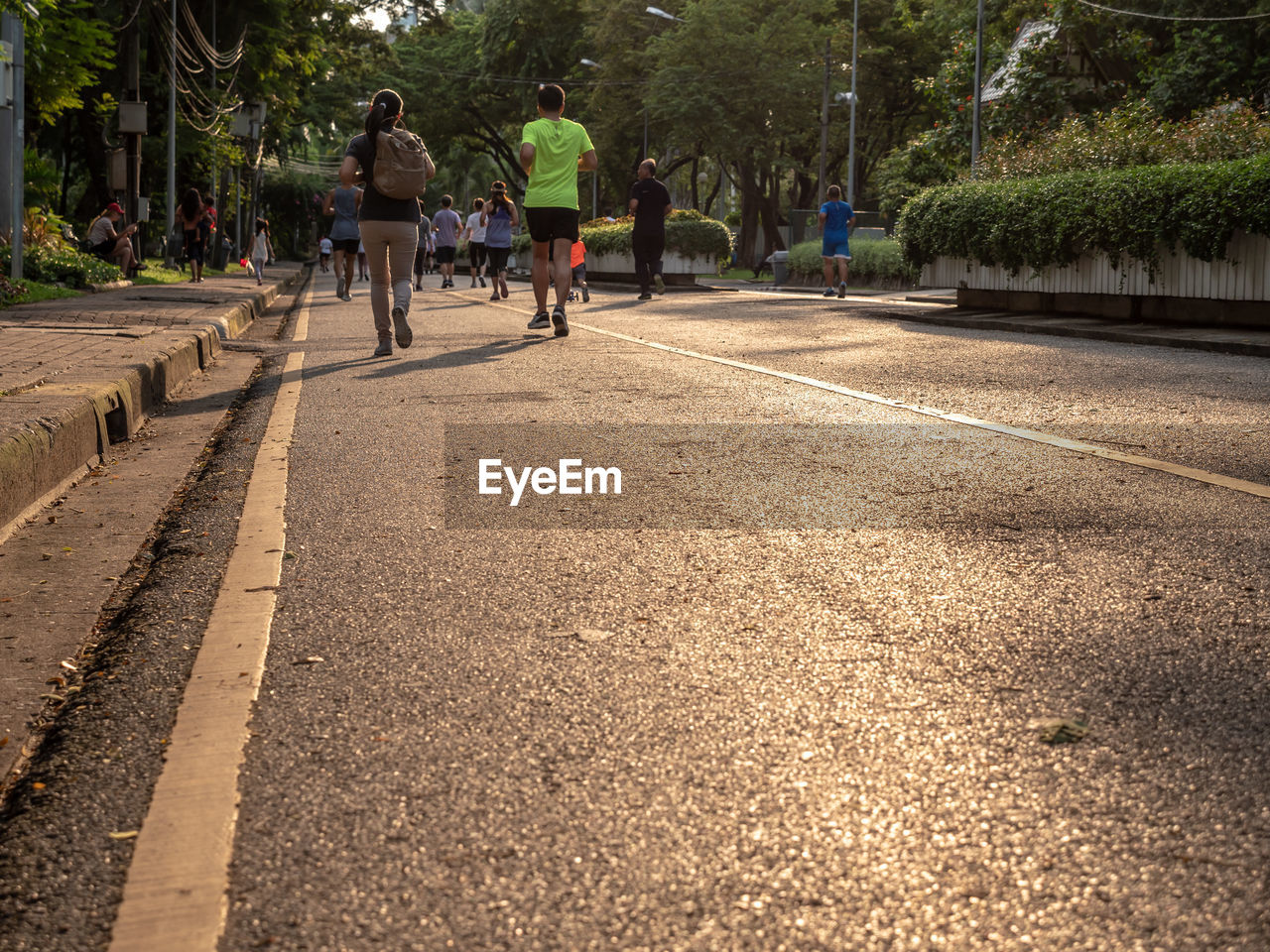 Rear view of people on road in city