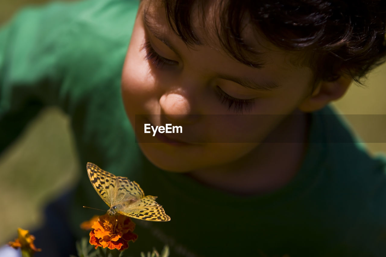 Close-up of boy looking at butterfly pollinating flower