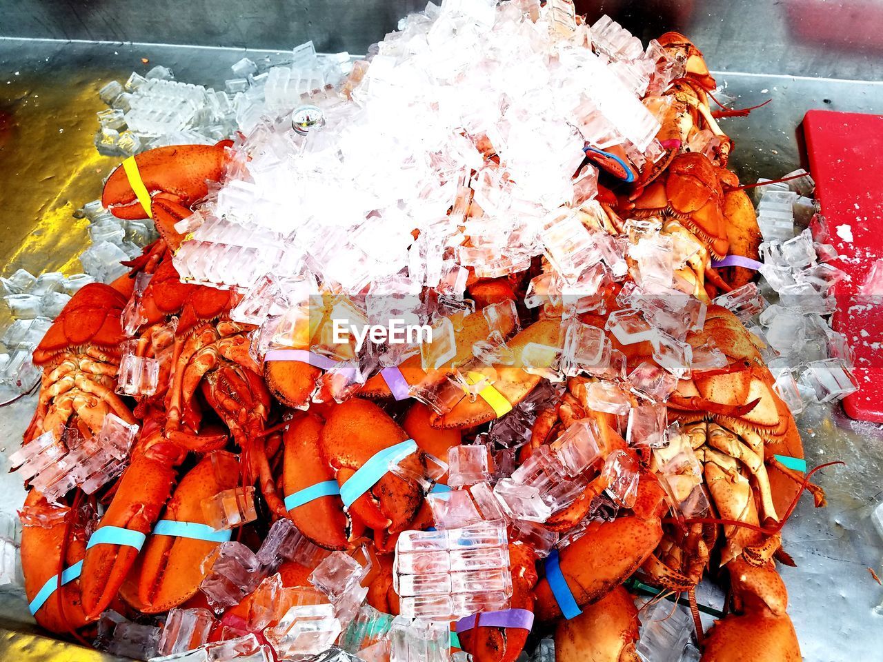 High angle view of ice cubes on crab at market for sale