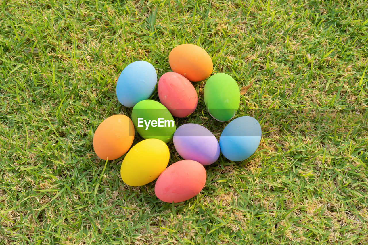 close-up of easter eggs on grass