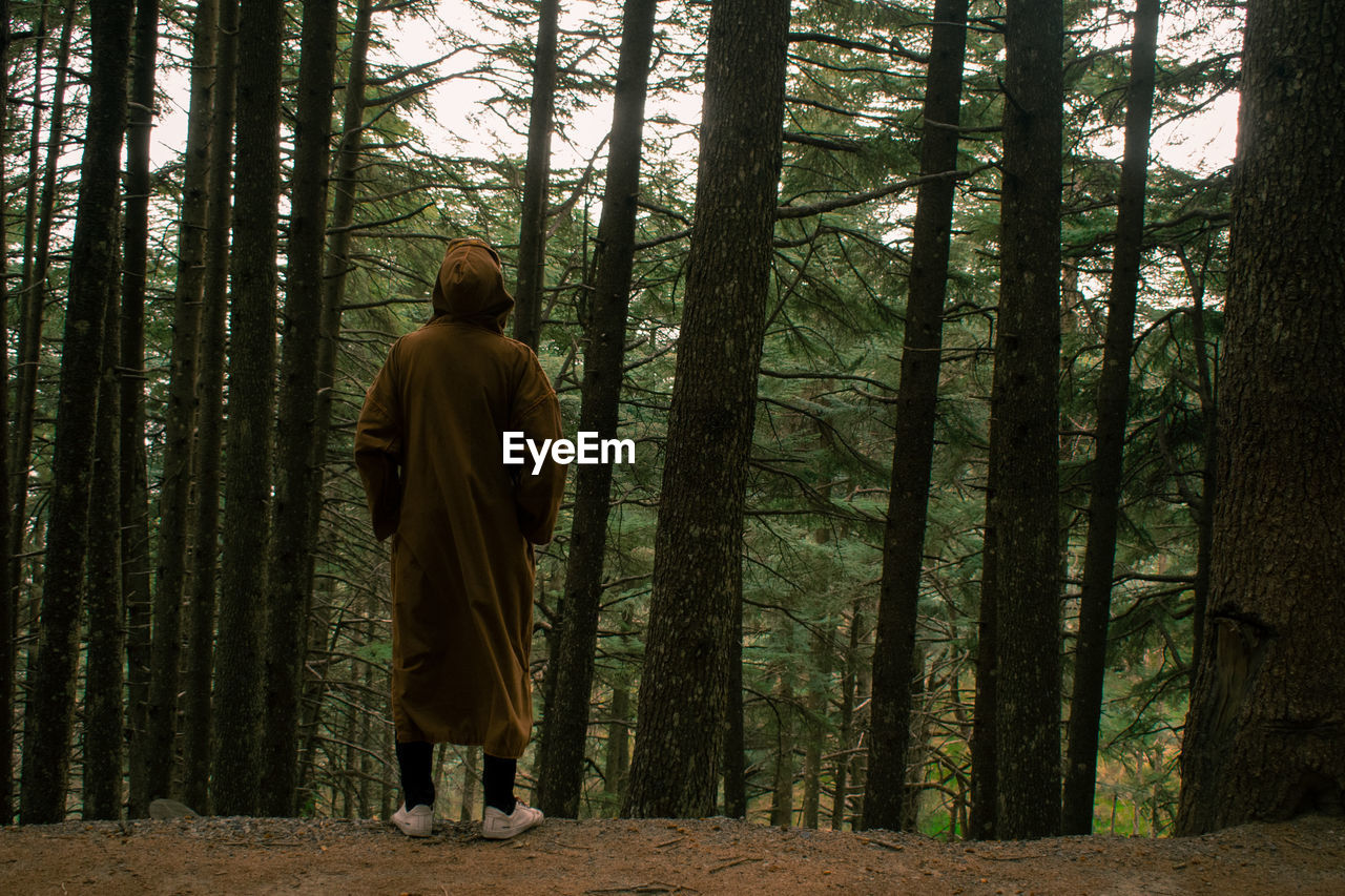 Rear view of man standing by trees in forest