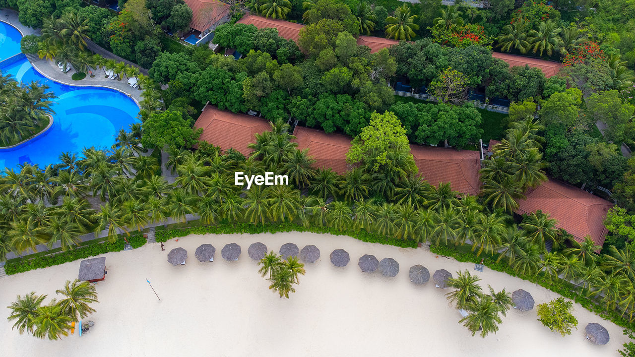 Top view of the resort beach with villas and a swimming pool immersed in greenery.