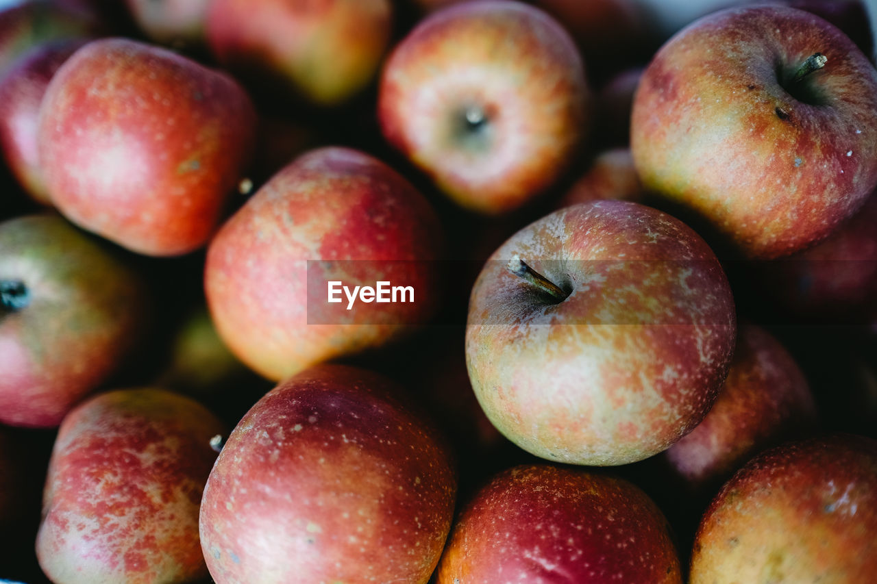 CLOSE-UP OF APPLES IN MARKET