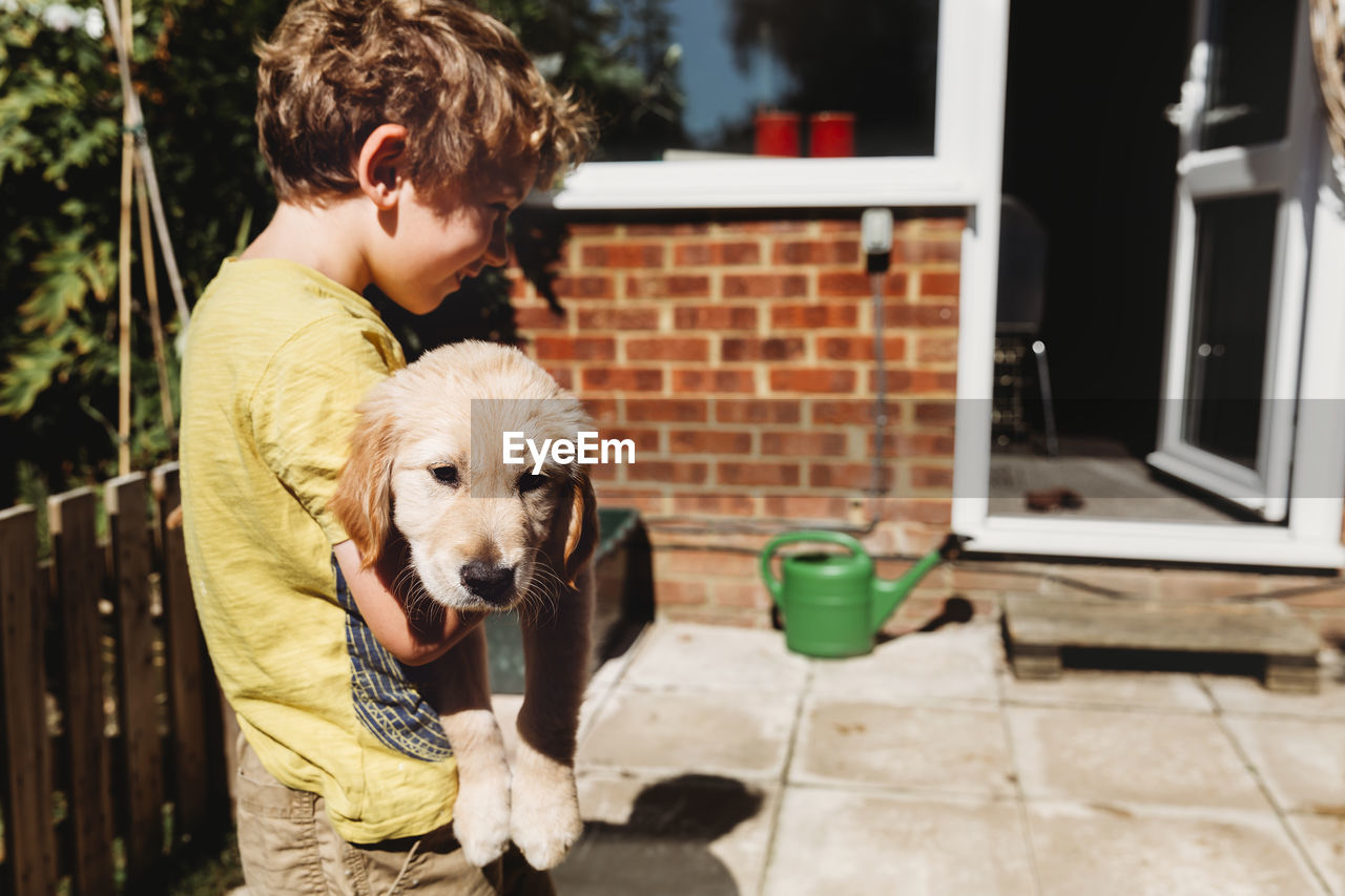 Boy holding golden retriever labrador puppy in yard