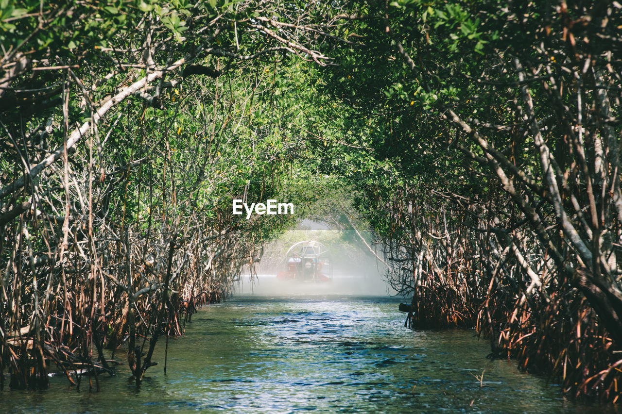 Scenic view of sea against trees in forest