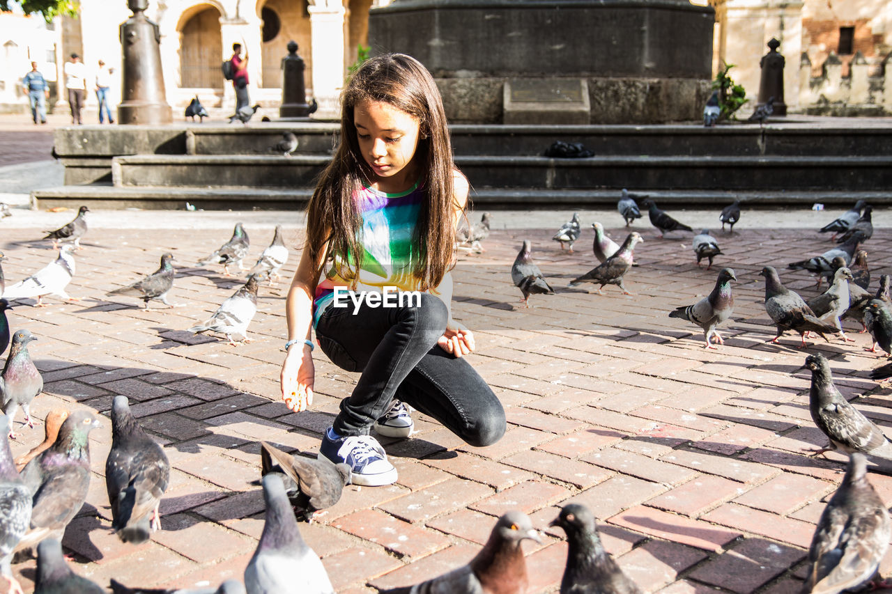 Girl feeding pigeons on city street