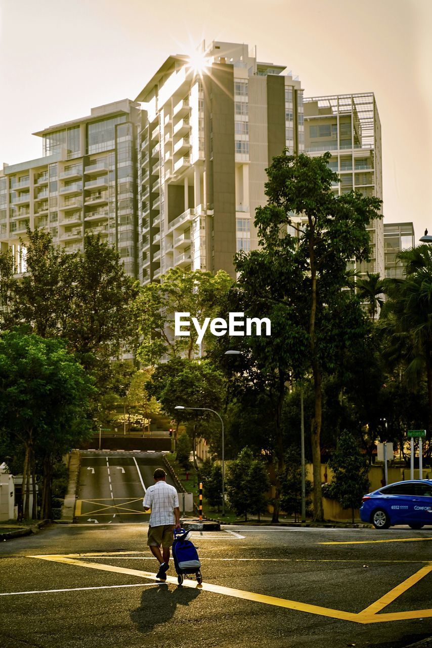 Full length rear view of man walking with suitcase against trees and buildings