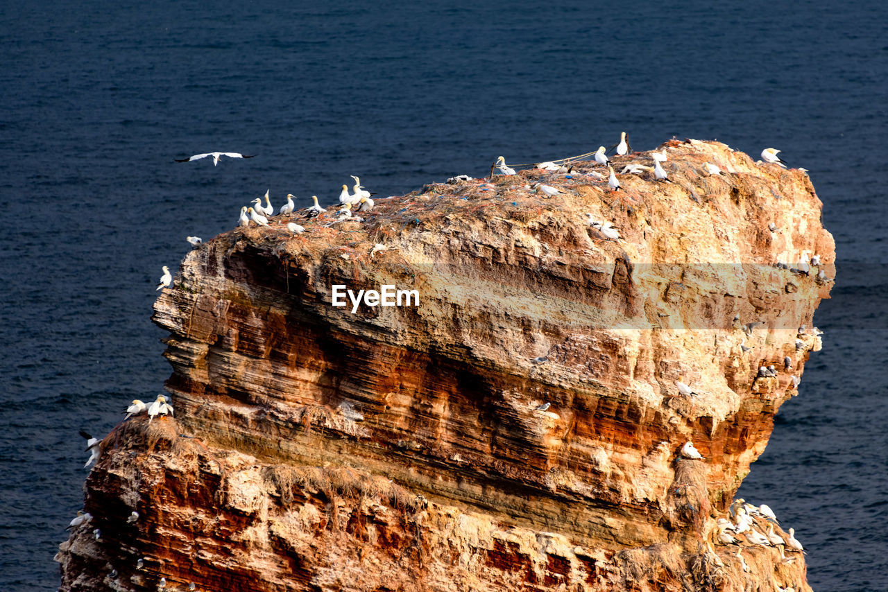 high angle view of rock formations