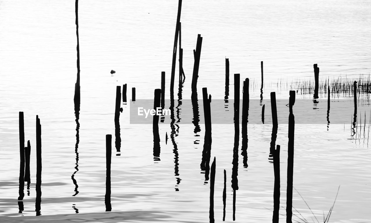 Wooden posts in lake