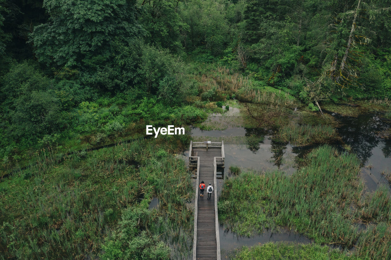 A young couple enjoys a hike on a boardwalk in the pacific northwest.