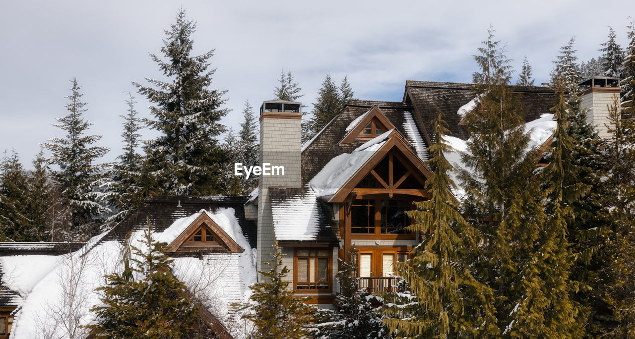 HOUSES BY TREES AGAINST SKY DURING WINTER